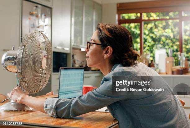 donna, ventilatore e laptop in casa con ondata di caldo come copywriting freelance per il lavoro a distanza, l'e-mail o la cucina. persona femminile, matura e menopausa nella stagione calda o nell'apparecchio dell'appartamento, nell'aria fresca o nell'esta - ondata di calore foto e immagini stock