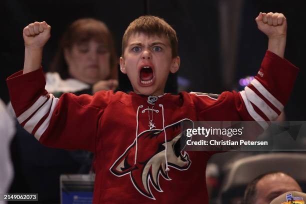 An Arizona Coyotes fan reacts after a goal against the Edmonton Oilers during the third period of the NHL game at Mullett Arena on April 17, 2024 in...