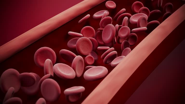 Blood Routine Animation 753 Blood Circulation Animation Stock Videos, Footage, & 4K Video Clips ...