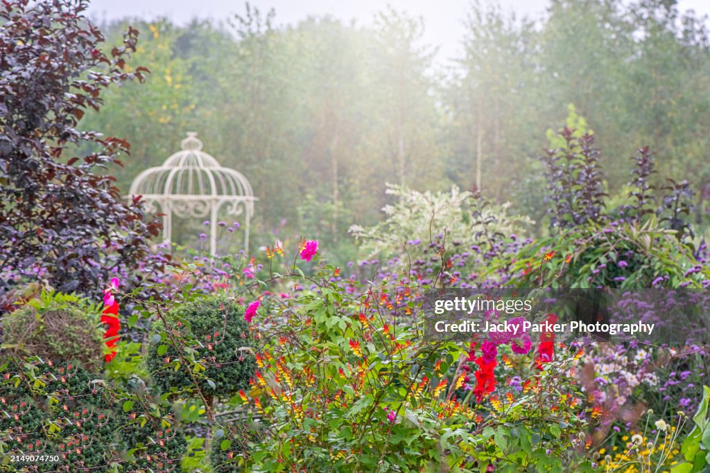 Beautiful, English cottage summer garden with wrought iron pergola, with colourfyl flowers and shrubs in soft sunshine
