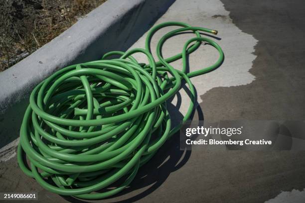 a green water hose - water whorl grass stock pictures, royalty-free photos & images
