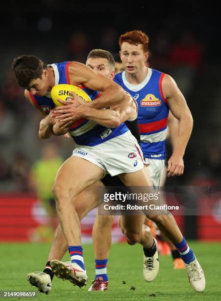 Sam Darcy of the Bulldogs is challenged during the round six AFL match between St Kilda Saints and Western Bulldogs at Marvel Stadium, on April 18 in...