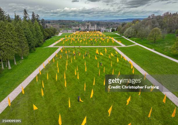 In this aerial view volunteers hoist over 500 yellow flags flying in the grounds of Lowther Castle in the Lake District on April 18, 2024 in Penrith,...