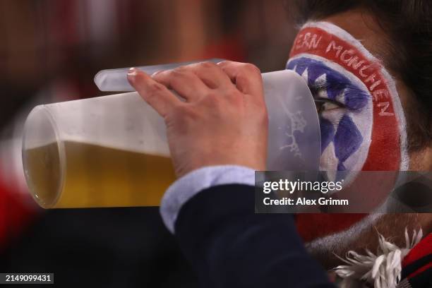 Fan of Bayern Muenchen drinks a beer during the UEFA Champions League quarter-final second leg match between FC Bayern München and Arsenal FC at...