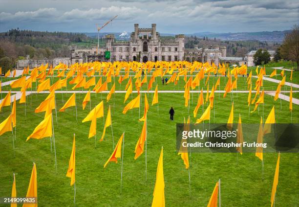 In this aerial view volunteers hoist over 500 yellow flags flying in the grounds of Lowther Castle in the Lake District on April 18, 2024 in Penrith,...