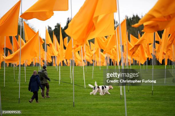 People view over 500 yellow flags flying in the grounds of Lowther Castle in the Lake District on April 18, 2024 in Penrith, England. County Durham...