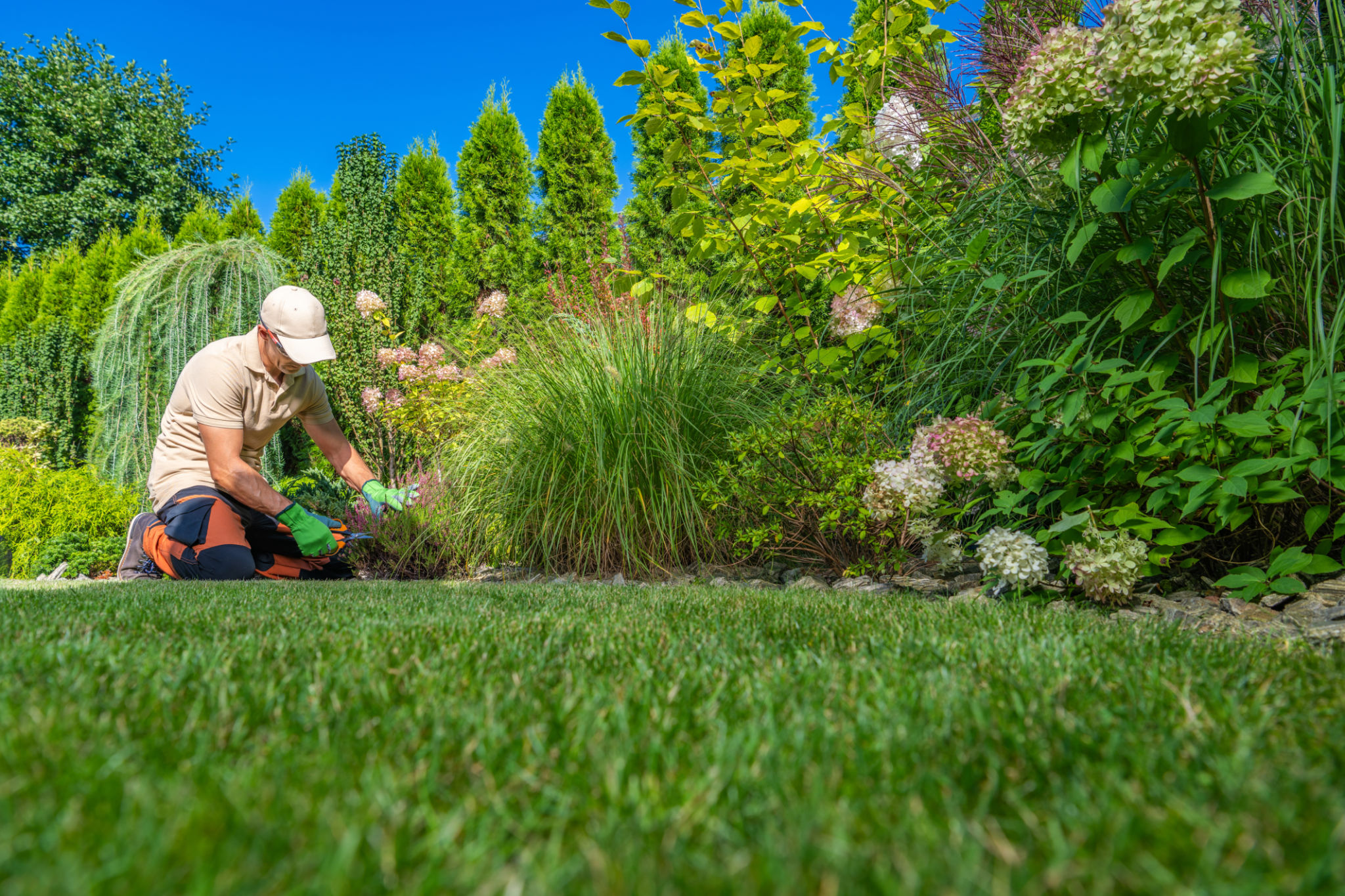 expert gardener