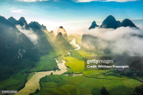 rice field and river in ninhbinh, vietnam - vietname imagens e fotografias de stock