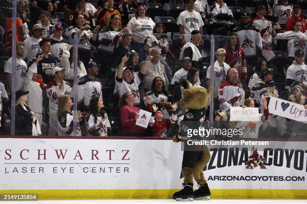 The Arizona Coyotes mascot, "Howler" throws mini hockey sticks to fans following the NHL game against the Edmonton Oilers at Mullett Arena on April...