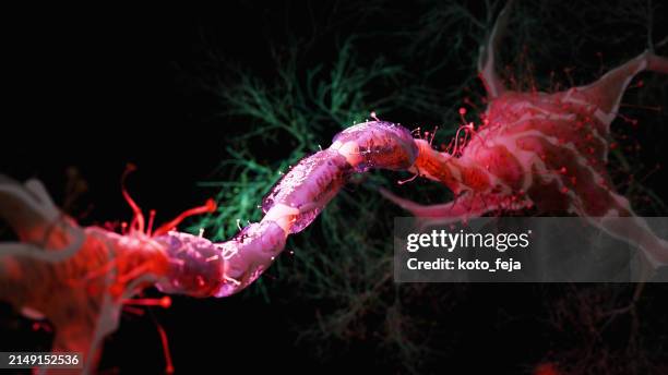 firing neurons - neurotransmitter stock pictures, royalty-free photos & images