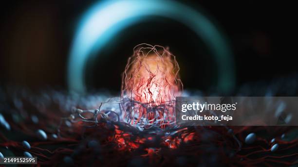 ansicht von krebszellen - elektronenmikroskop stock-fotos und bilder