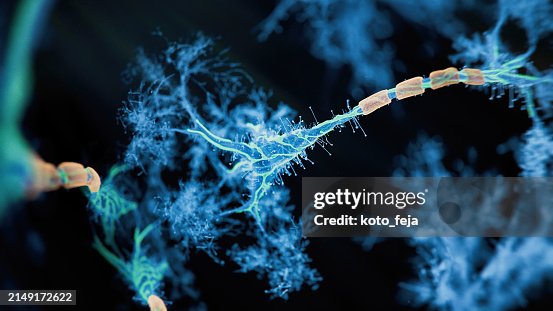 Firing Neurons Firing Neurons