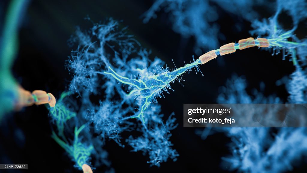 Firing Neurons