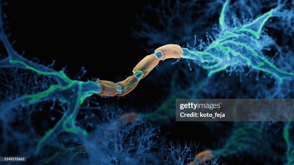 Firing Neurons
