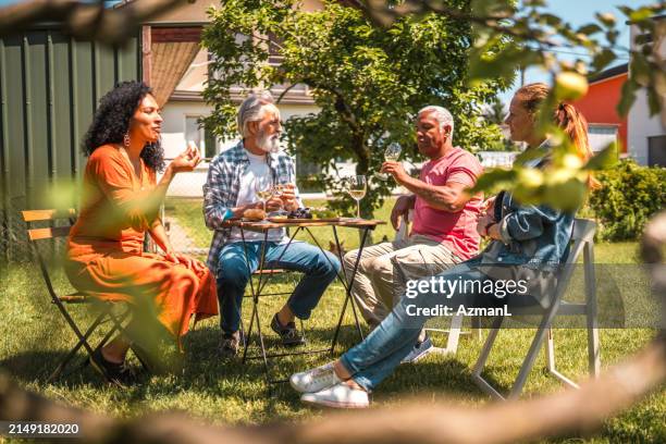 joyful elderly couples' outdoor get-together - buren stockfoto's en -beelden