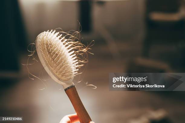 a woman holds a wooden comb in her hands, cleans it of fallen hair after combing. the concept of head health problems, deficient conditions in the body due to stress and depression, a consequence of chemotherapy and radiation for cancer. - hairbrush stock pictures, royalty-free photos & images