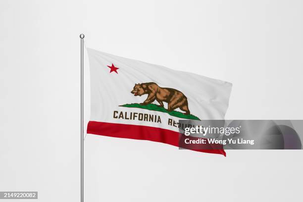 Bandiera Della California Con Orso – 100% Cotone Bianco – Made In USA - Foto 1