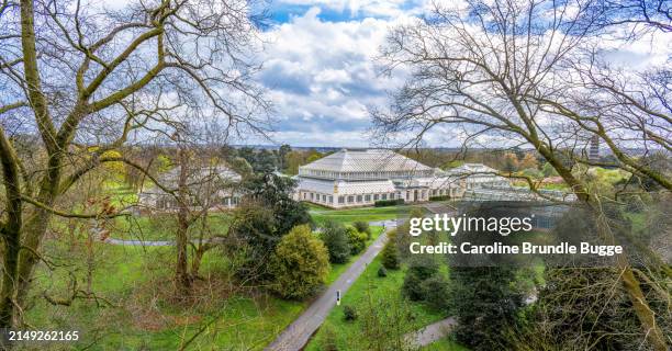 the temperate house, kew gardens, london, united kingdom - richmond upon thames stockfoto's en -beelden