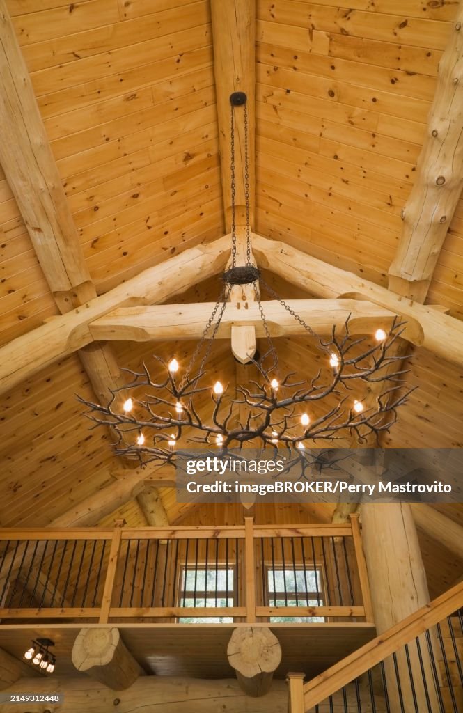 Knotty Wood Ceiling