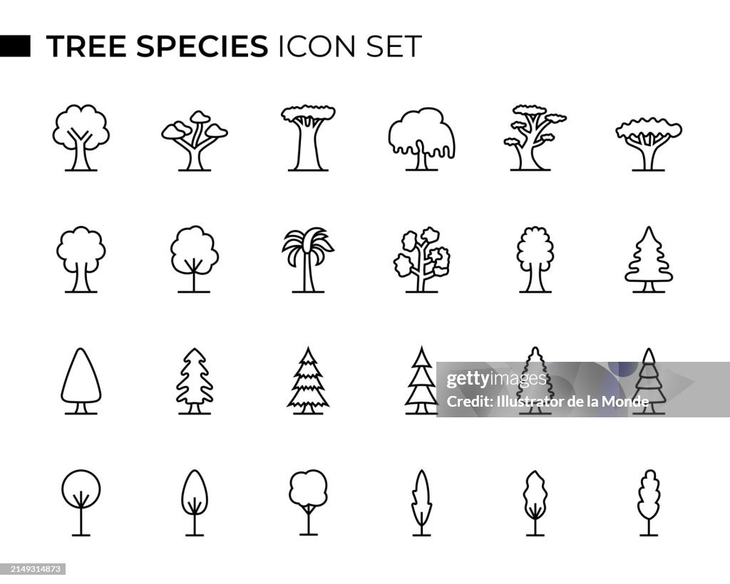 Tree Species Concept Thin Line Icon Set contains such icons as Chestnut Tree, Acacia Tree, Maple Tree, Palm Tree, Oak Tree, Pine Tree, Willow Tree, Alder Tree and so on