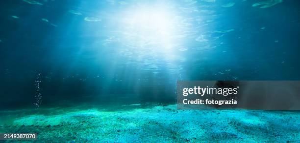 underwater deep sea - underwater stock pictures, royalty-free photos & images