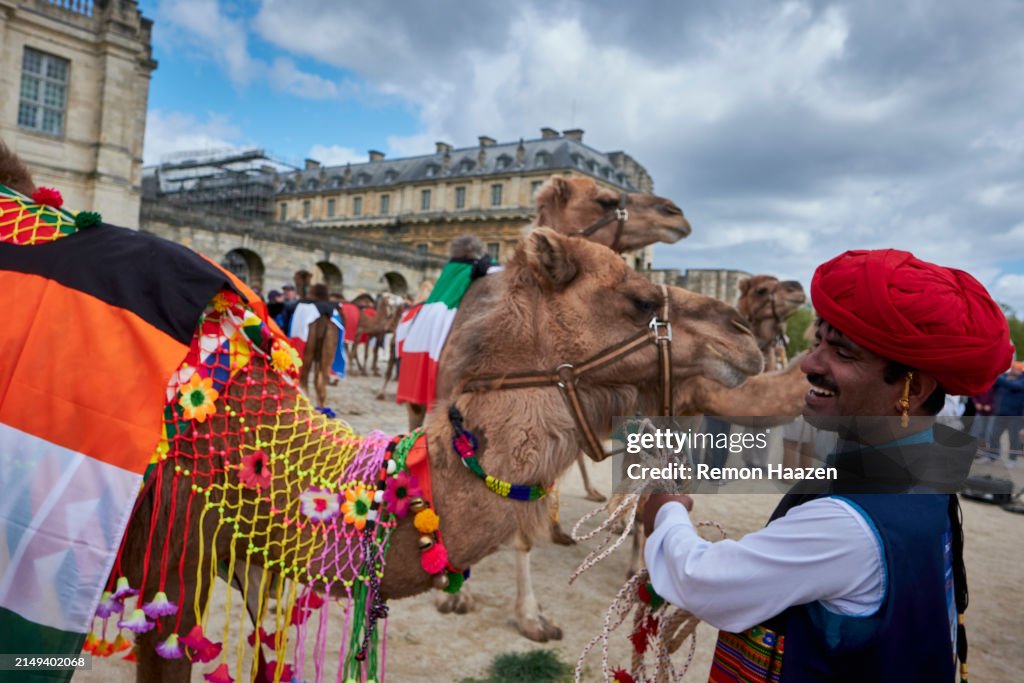 Camels Parade Through Paris Suburb