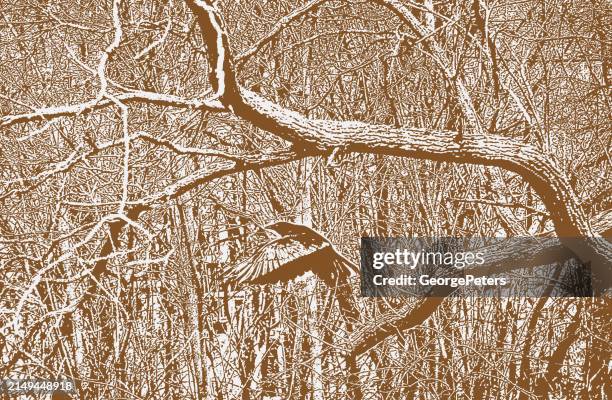 dense bare trees branches background - tree bark texture stock illustrations