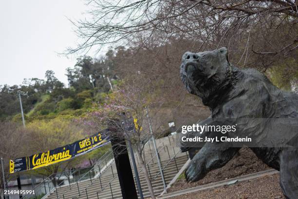 Bear statue by artist Douglas Van Howd, known by students as "Sturdy The Bear," sits outside California Memorial Stadium, on the campus of University...