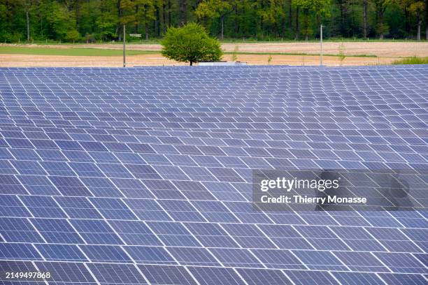 The Wierde agri-voltaic power plant, with nearly 23 000 pannels is the first large-scale agrivoltaic project in Belgium, 'agrivoltaïque' means a...