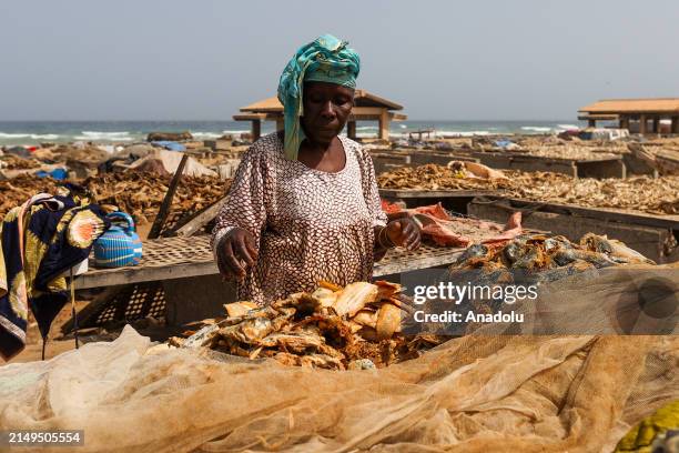 Kayar View 303 Kayar Stock Photos, High-Res Pictures, and Images - Getty Images