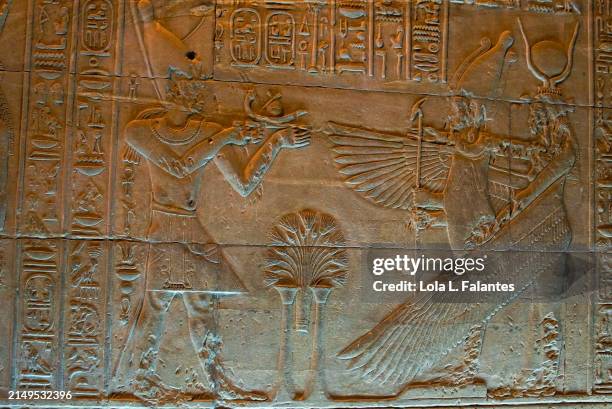 ancient egyptian bass relief and hieroglyphics. hypostyle or naos room of temple of isis bas-relief, philae complex, agilka island, egypt - hieroglyphics stock pictures, royalty-free photos & images