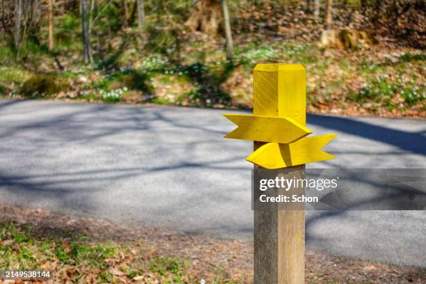 yellow arrows showing the way by a road in spring - wegwijzer stockfoto's en -beelden