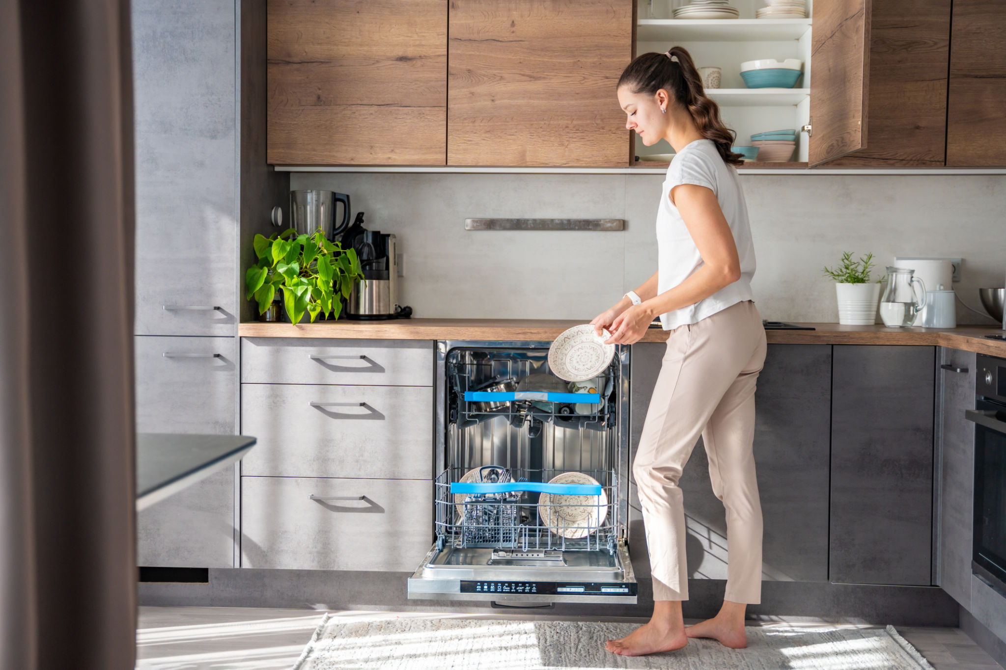 home electrical appliances