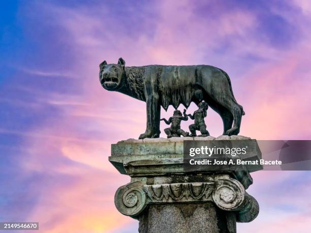 Remus Rme 268 Romulus And Remus Statue Stock Photos, High-Res Pictures, and ...