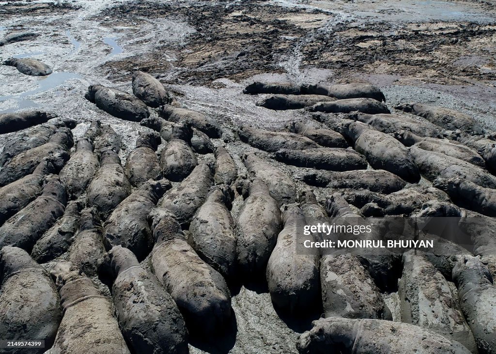 TOPSHOT-BOTSWANA-DROUGHT-ANIMALS
