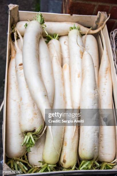 daikon on sale at market - daikon stock pictures, royalty-free photos & images