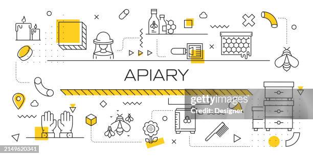 apiary related banner design for web page, headline, brochure, annual report and book cover - bees pollinating stock illustrations