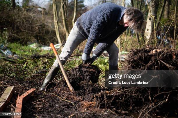 Up Rooting Tree 3,635 Tree Uprooting Stock Photos, High-Res Pictures, and Images ...