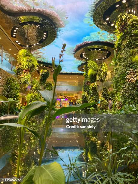 singapore - changi airport - changi airport stock pictures, royalty-free photos & images