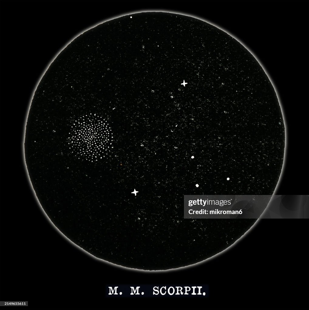 Old engraved illustration of Astronomy, Scorpius, a zodiac constellation located in the Southern celestial hemisphere, where it sits near the center of the Milky Way, between Libra to the west and Sagittarius to the east