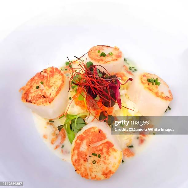 Square Fish Photos and Premium High Res Pictures - Getty Images