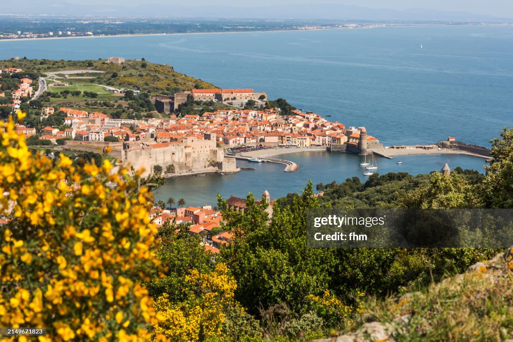 Travel Destination Collioure Historic Village In South Of France Next ...