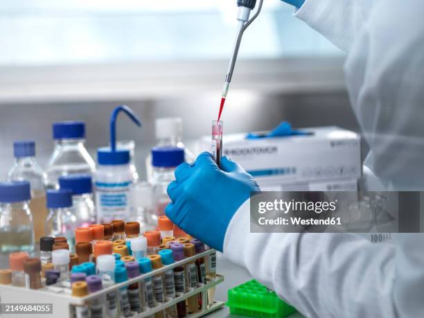 pathologist pipetting blood sample in test tube at laboratory - dna test stock pictures, royalty-free photos & images