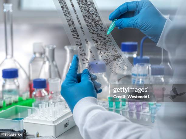 hands of scientist examining dna electrophoresis data in laboratory - dna test stock pictures, royalty-free photos & images