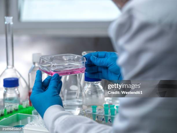 Lab Plastic Examples 2,211 Medical Plastics Laboratory Stock Photos, High-Res Pictures, and ...