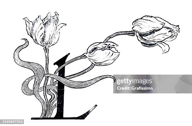 tulpe um den buchstaben l 1897 - buchstabe l stock-grafiken, -clipart, -cartoons und -symbole