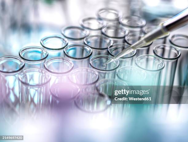 scientist pipetting drop of sample in test tubes at lab - test tube stock pictures, royalty-free photos & images