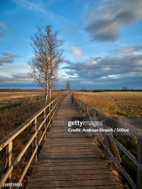 empty boardwalk on field against sky,germany - ponte pedonale foto e immagini stock