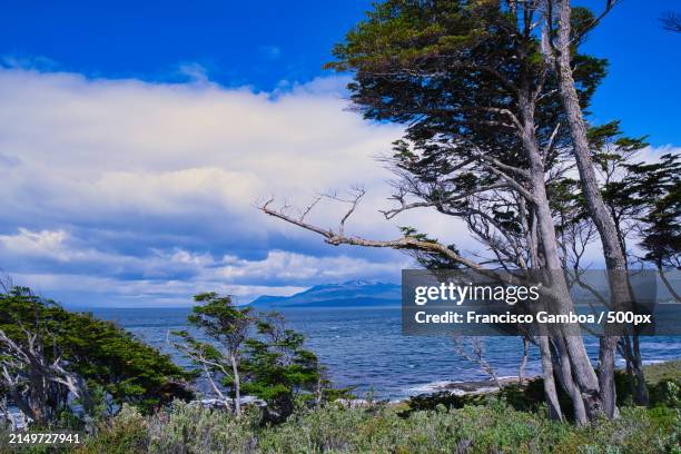 scenic view of sea against sky - francisco gamboa stock pictures, royalty-free photos & images