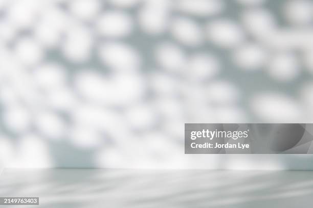 abstract white showcase room with trees shadow - tree shadow wall stock pictures, royalty-free photos & images